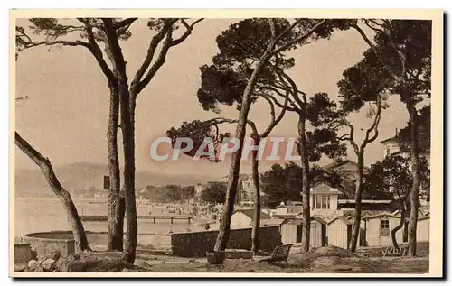 Ansichtskarte AK La Douce Cote D&#39Azur Juan Les Pins La Plage Vue A Travers Les Pins