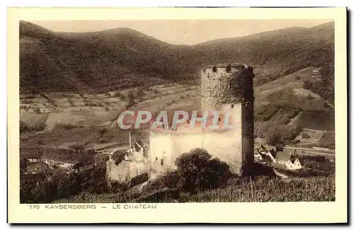 Cartes postales Kaysersberg Le Chateau