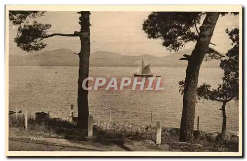 Ansichtskarte AK Cote D&#39Azur Saint Tropez Le Massif de l&#39Esterel vu de la Route de Saint Tropez