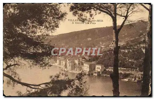 Cartes postales Villefranyche Sur Mer A Travers Les Pins