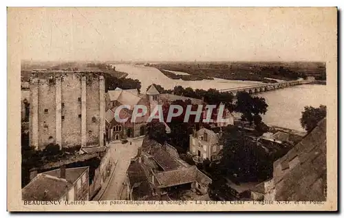 Cartes postales Beaugency Vue Panoramique Sur La Sologne La Tour De Cesar L'Eglise