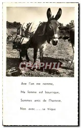 Cartes postales Ane l&#39on me Nomme Ma Femme est bourrique Sommes amis de l&#39homme Non avec Sa trique