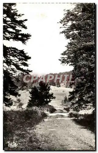 Cartes postales moderne Hauteville Lompnes Paysage au Col de la Rochette