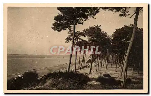 Cartes postales Arcachon Moulleau Le Parc des Abatilles