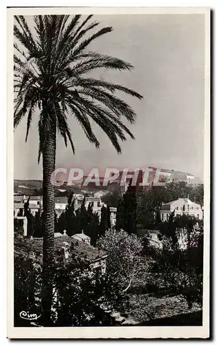 Cartes postales Collioure Vue Panoramique sur le chateau