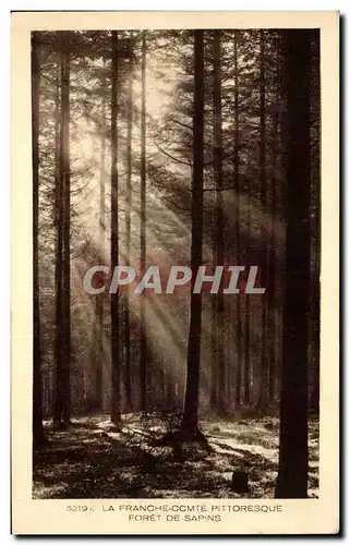 Cartes postales La Franche Comte Pittoresque Foret De Sapins