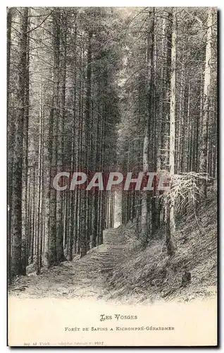 Ansichtskarte AK Les Vosges Foret de Sapins A Kichompre Gerardmer