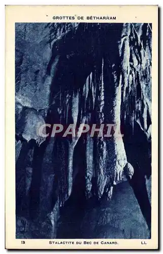 Cartes postales Grottes De Betharram Stalactite Du Bec De Canard