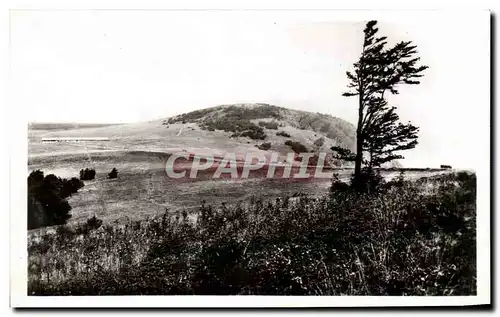 Cartes postales Ballon D'Alsace Le Sommet