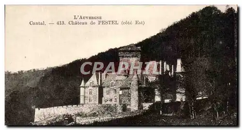 Cartes postales Chateau de Pestel