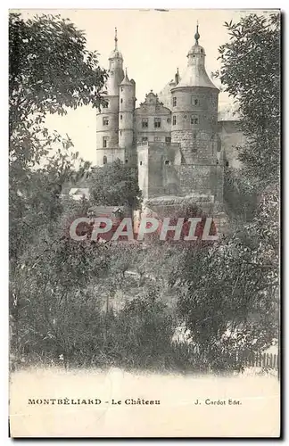 Cartes postales Montbeliard Le Chateau