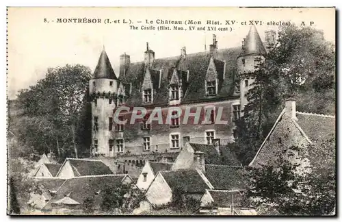 Cartes postales Montresor Le Chateau