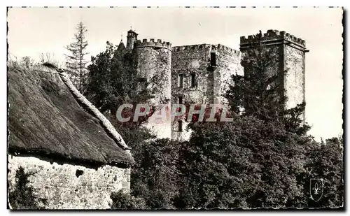 Cartes postales Environs de Chatel Guyon Chateau De Chazeron