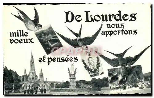 Cartes postales De Lourdes Hirondelles