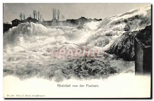Ansichtskarte AK Rheinfall von der Fischetz