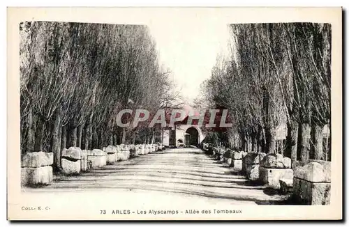 Ansichtskarte AK Arles Les Alyscamps Allee des Tombeaux