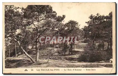 Ansichtskarte AK La Baule Les Pins Le Bois d&#39Amour Sous Bois