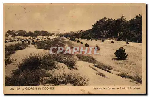 Cartes postales St Georges de Didonne Vue sur les Dunes la foret et la plage