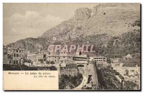 Cartes postales Monaco Le palais Du prince Le tete de chien