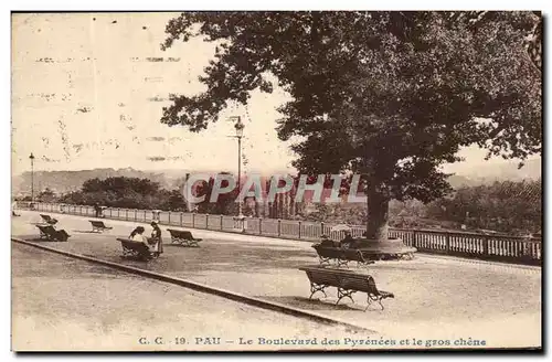 Cartes postales Pau Le boulevard des Pyrenees et le Gros Chene