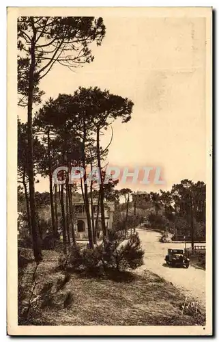 Cartes postales La Baule les Pins Une vue de la foret