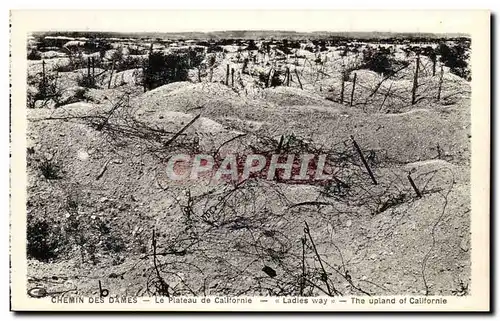 Ansichtskarte AK Chemin Des Dames Le Plateau de Californie Militaria