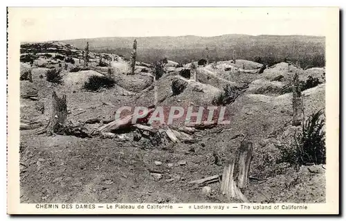 Ansichtskarte AK Chemin Des Dames Le Plateau de Californie Militaria