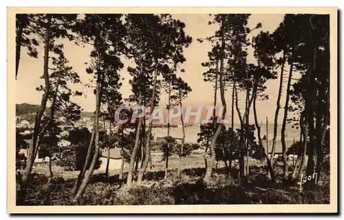 Cartes postales Sainte Maxime Sur Mer La Pinede