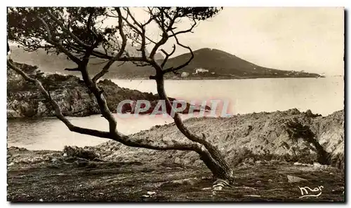 Cartes postales Agay bord du mer