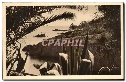 Cartes postales Cote D'Azur Le Trayas Les Roches