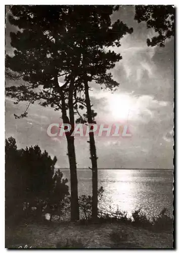 Cartes postales Bassin D&#39Arcachon Coucher De Soleil Sur Le Bassin