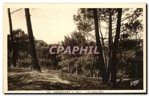 Cartes postales Pornichet Les Sous Bois