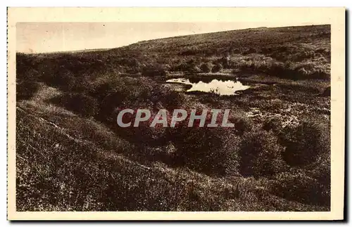 Cartes postales L&#39Etang de Vaux autour duquel se Livrerent de Furieux combats Militaria