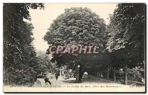 Ansichtskarte AK Chalons Sur Marne Le Jardin du Jard Allee des Marronniers