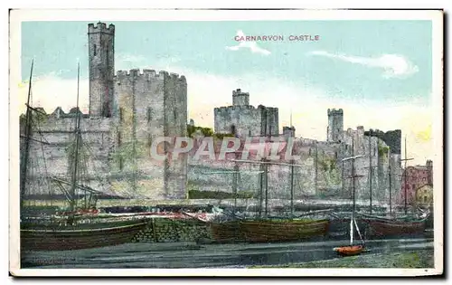 Cartes postales Carnarvon Castle