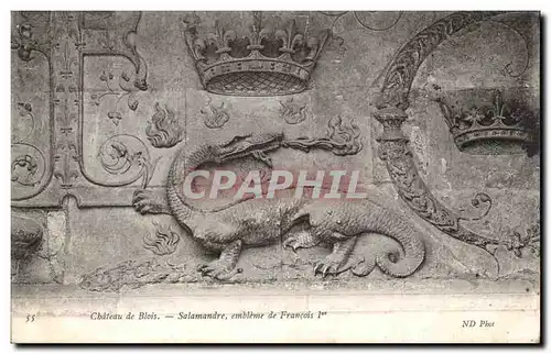 Ansichtskarte AK Chateau de Blois Salamandre embleme de Francois 1er