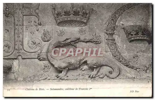 Cartes postales Chateau de Blois Salamandre embleme de Francois 1er