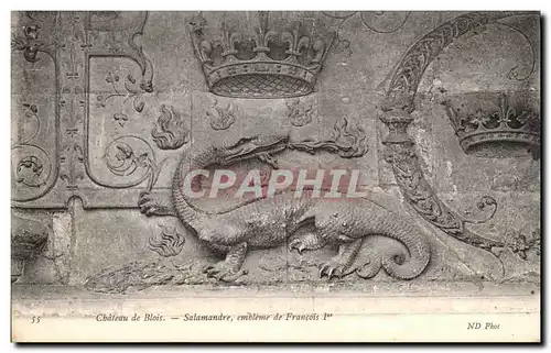 Ansichtskarte AK Chateau de Blois Salamandre Embleme de Francois 1er