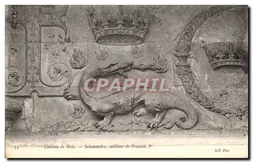 Cartes postales Chateau de Blois Salamandre Embleme de Francois 1er