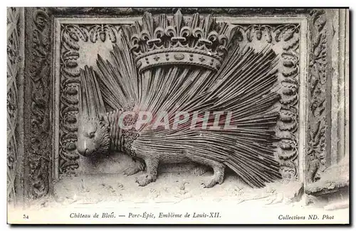 Cartes postales Chateau de Blois Porc Epic Embleme de Louis XIII
