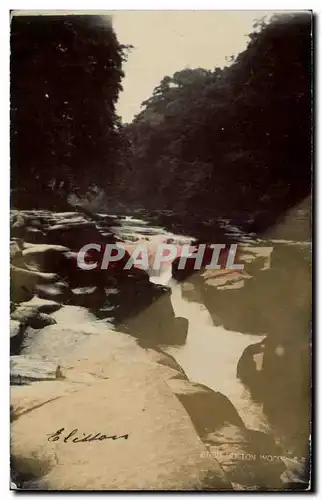 CARTE PHOTO Strid Bolton Woods