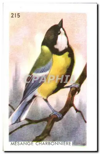 Image Mesange Charbonniere oiseau