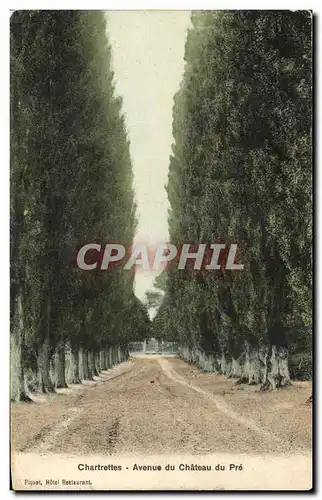 Cartes postales Chartrettes Avenue du chateau du Pre