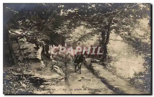 Cartes postales Salon 1901 Le Chemin Du Moulin D&#39Aiglard Ane