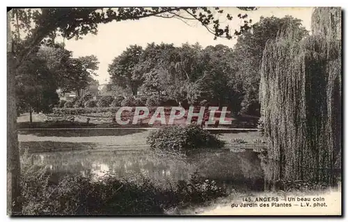 Cartes postales Angers Un beau coin du Jardin des Plantes