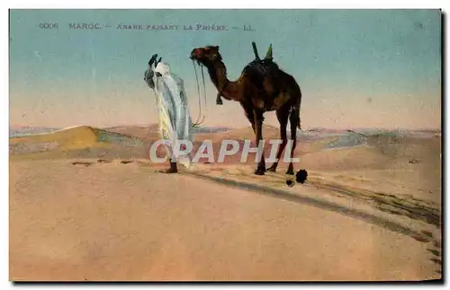 Cartes postales Maroc Arabe Faisant la Priere Chameau