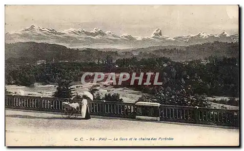 Cartes postales Pau Le Gave Et Le Chaine Des Pyrenees