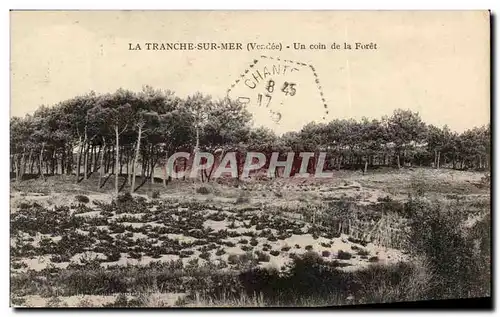 Cartes postales La Tranche Sur Mer Un Coin De La Foret