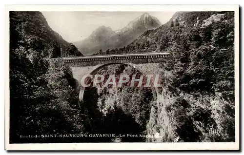 Cartes postales Route De Saint Sauveur Gavanie Le Pont Napoleon