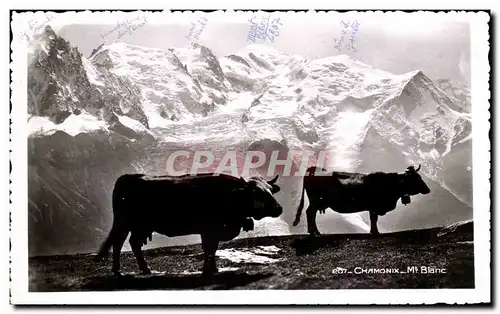 Cartes postales Chamonix Mt Blanc Vaches